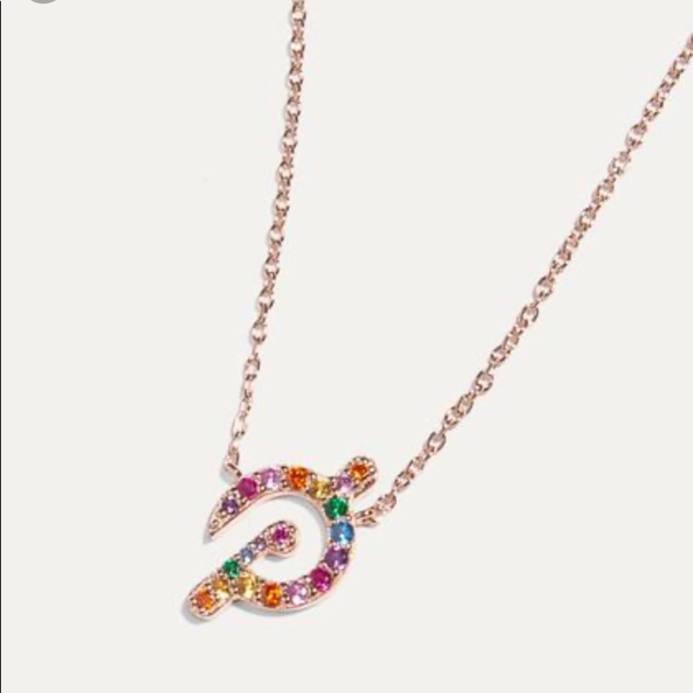 NWT Peloton Necklace